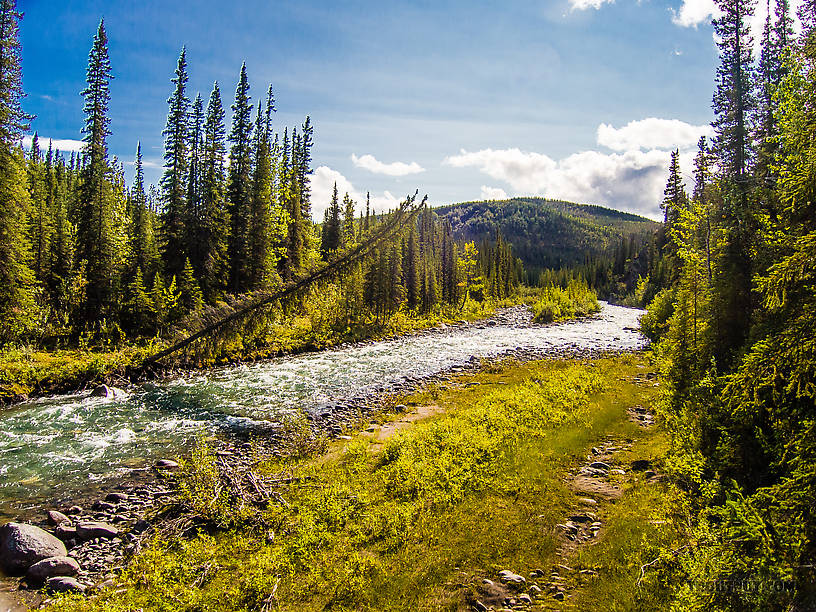  From Riley Creek in Alaska.