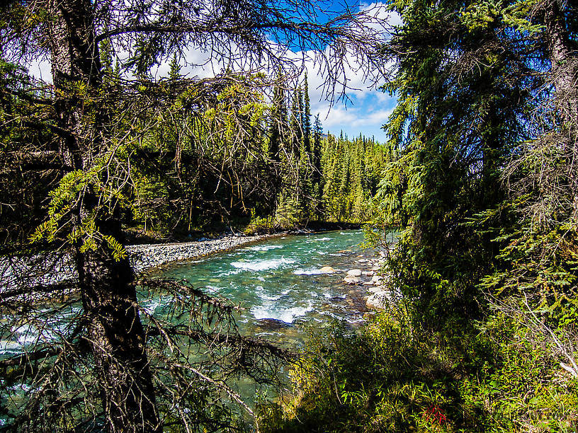  From Riley Creek in Alaska.