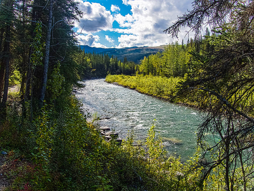  From Riley Creek in Alaska.