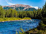  From Riley Creek in Alaska.