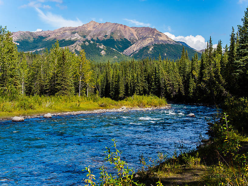  From Riley Creek in Alaska.