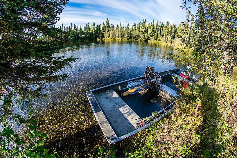  From Mystery Creek # 186 in Alaska.