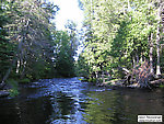  From the Bois Brule River in Wisconsin.