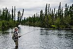  From Mystery Creek # 186 in Alaska.