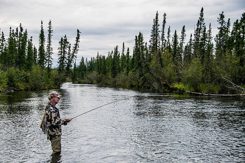  From Mystery Creek # 186 in Alaska.