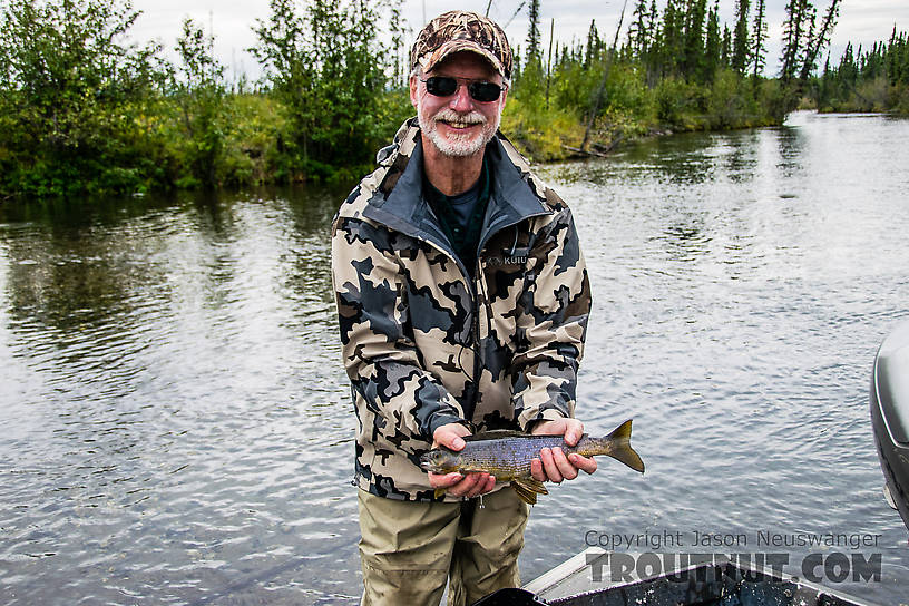  From Mystery Creek # 186 in Alaska.