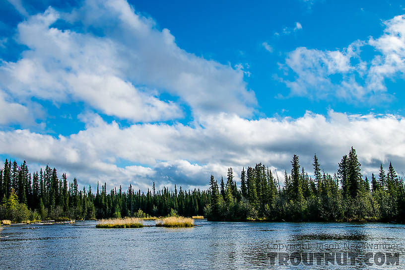  From Mystery Creek # 186 in Alaska.