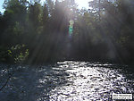  From the Bois Brule River in Wisconsin.