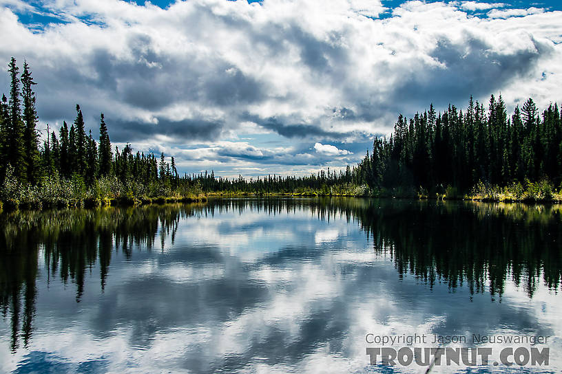  From Mystery Creek # 186 in Alaska.