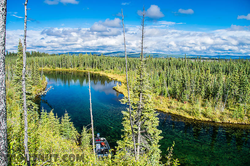  From Mystery Creek # 186 in Alaska.