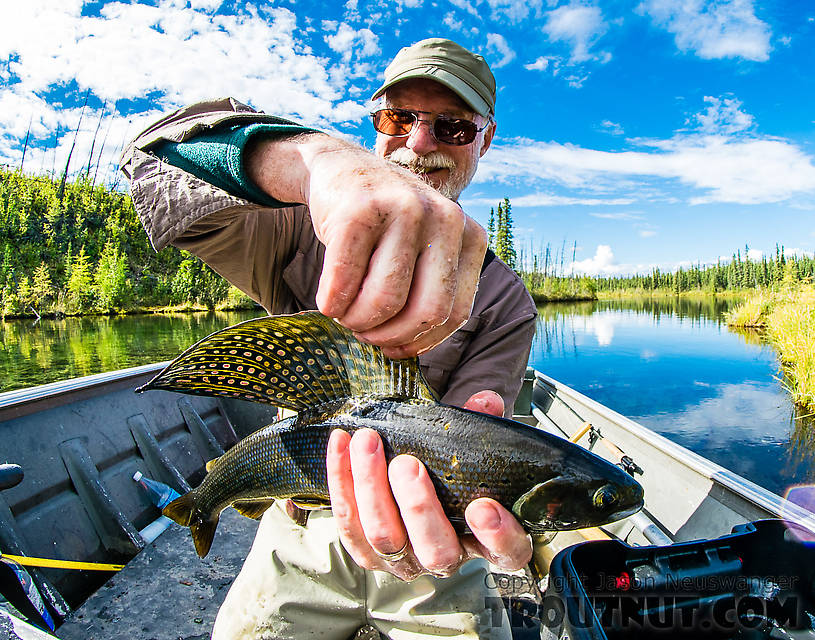  From Mystery Creek # 186 in Alaska.