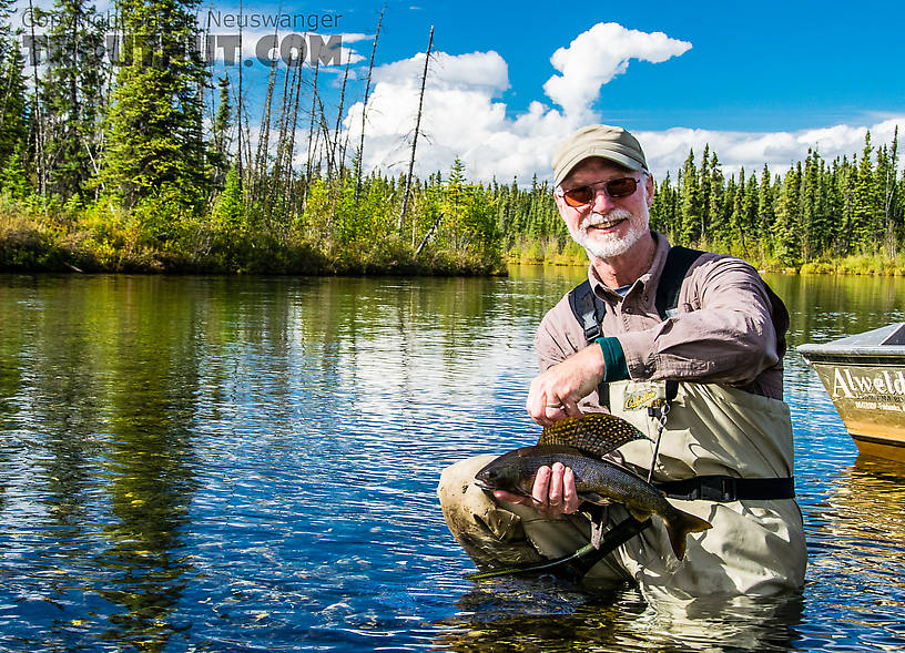  From Mystery Creek # 186 in Alaska.