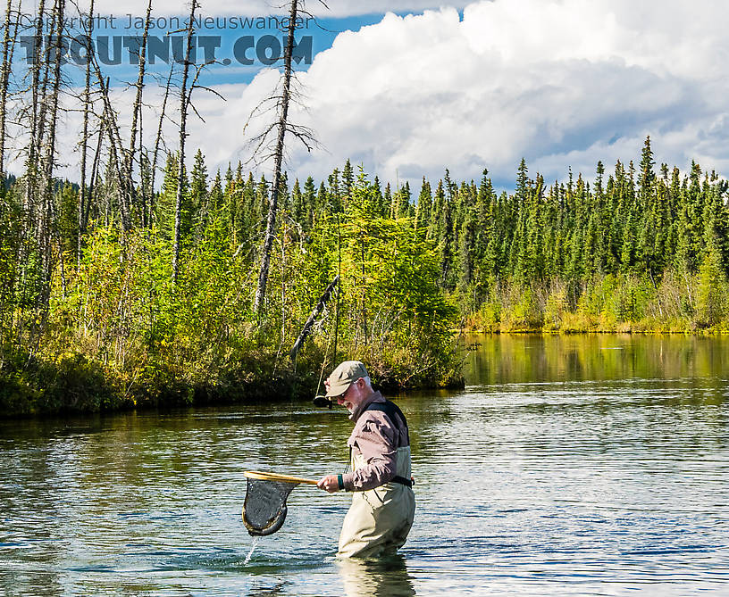  From Mystery Creek # 186 in Alaska.