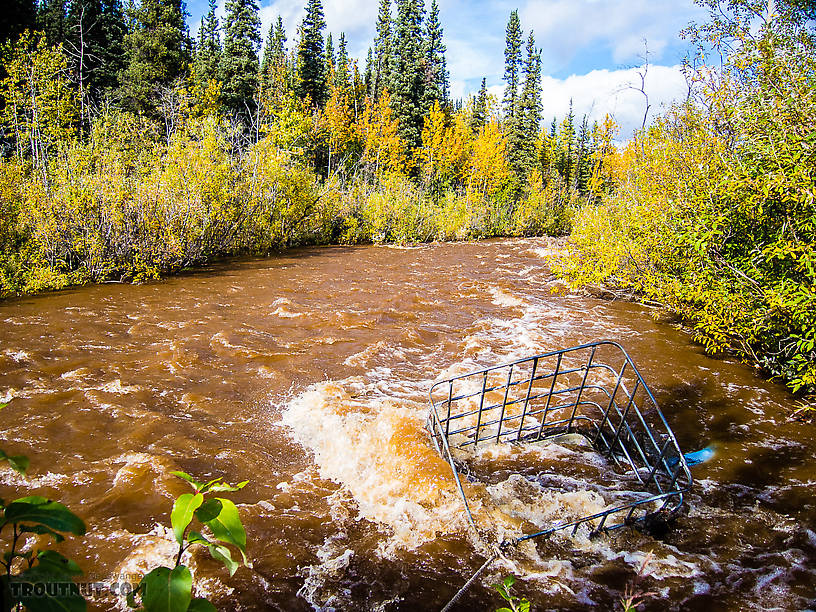  From Mystery Creek # 170 in Alaska.