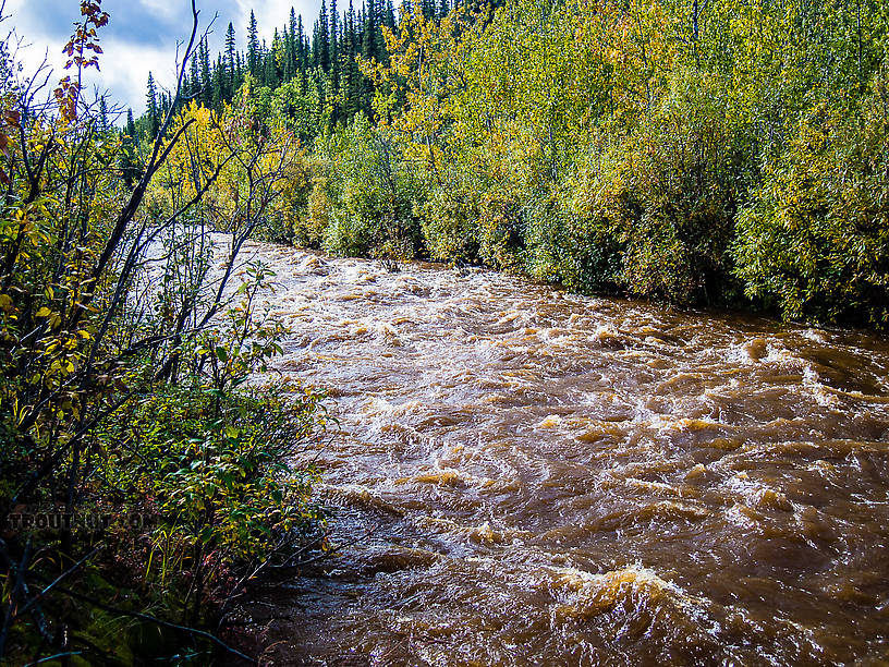  From Mystery Creek # 170 in Alaska.