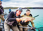 Big rainbow (estimated 25") in the middle Kenai River. Our drift boat guide (Jeff from Alaska Troutfitters) had a policy that he holds the fish instead of the clients, which felt weird to me but is completely understandable given the diverse clientele and the amount of pressure on these fish. Mishandling by inexperienced clients could add up to a lot of mortality. From the Kenai River in Alaska.