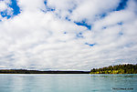  From the Kenai River in Alaska.