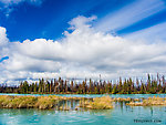  From the Kenai River in Alaska.