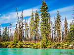  From the Kenai River in Alaska.