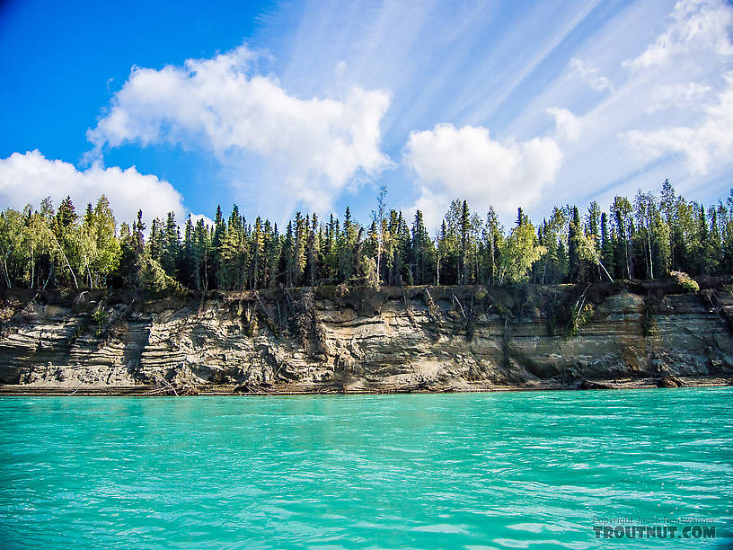  From the Kenai River in Alaska.