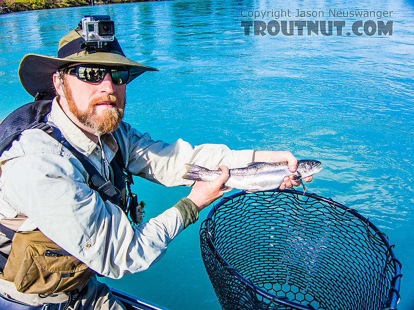  From the Kenai River in Alaska.