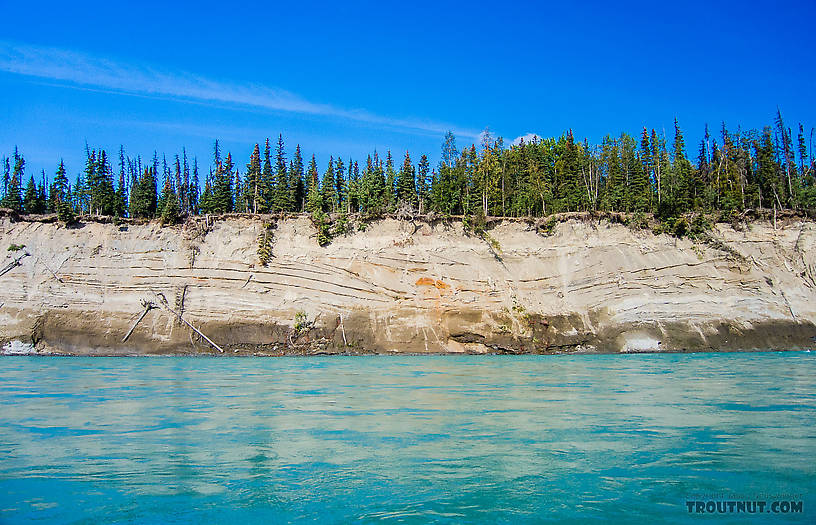  From the Kenai River in Alaska.