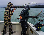  From Kachemak Bay in Alaska.