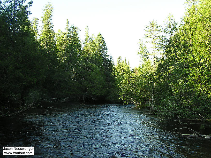  From the Bois Brule River in Wisconsin.