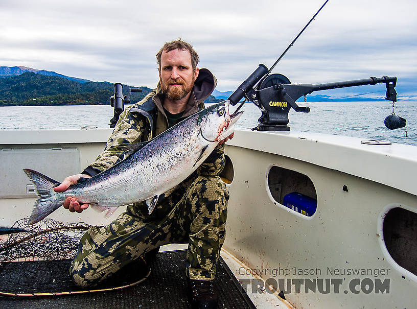  From Kachemak Bay in Alaska.