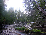  From the Bois Brule River in Wisconsin.