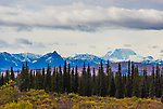 12096 ft Mt Mather From Denali National Park in Alaska.