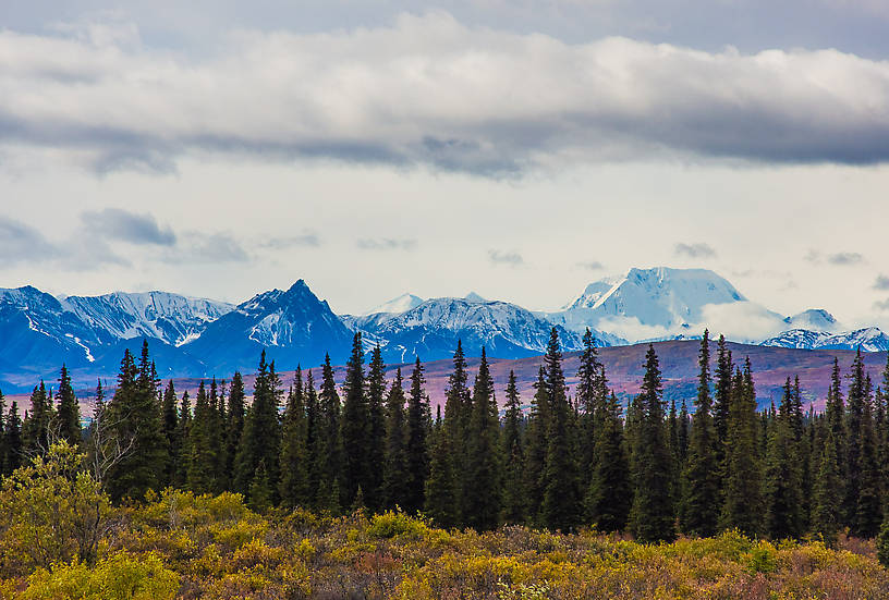 12096 ft Mt Mather From Denali National Park in Alaska.