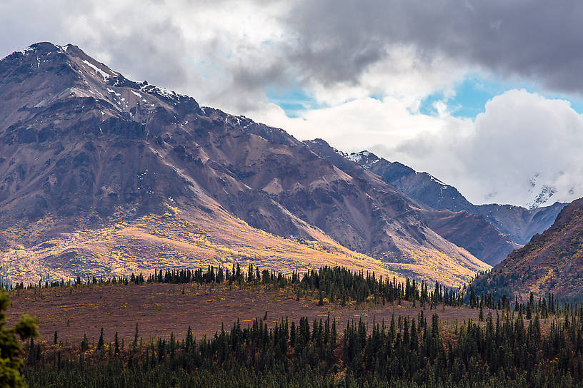  From Denali National Park in Alaska.