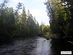  From the Bois Brule River in Wisconsin.