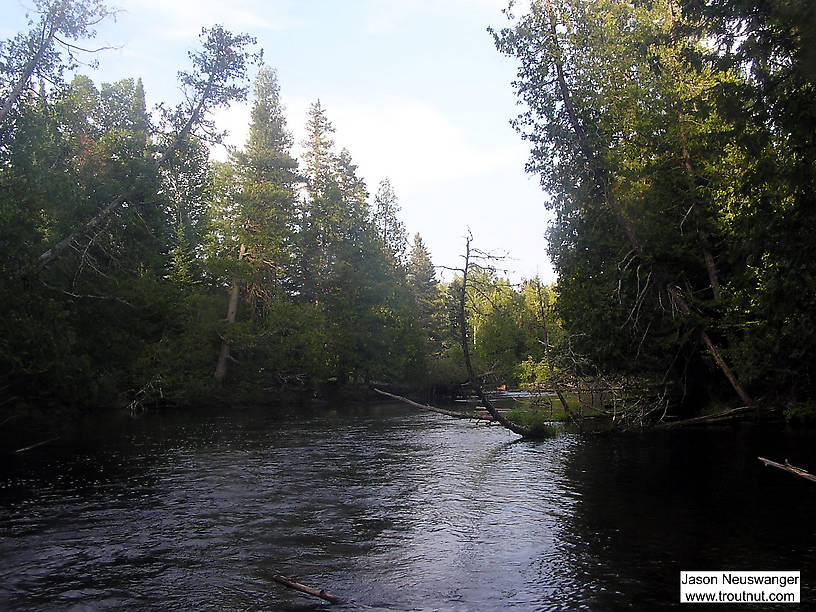  From the Bois Brule River in Wisconsin.