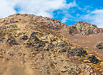  From Denali National Park in Alaska.