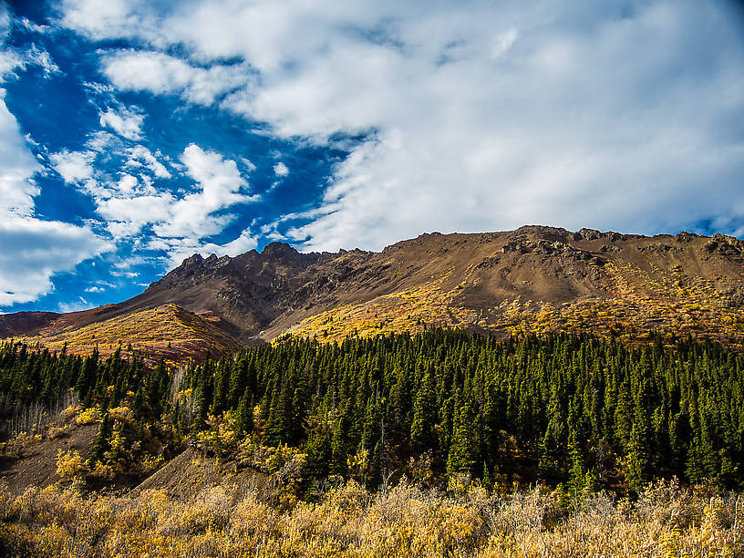  From Denali National Park in Alaska.