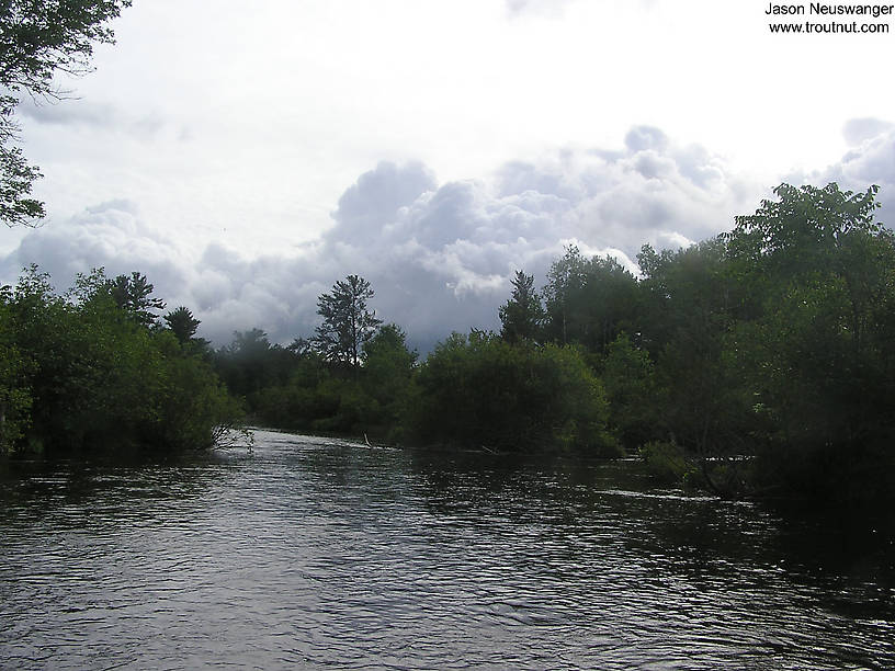 Thunderstorms threatened on this early July evening but they luckily kept missing me and the fishing was excellent. From the Namekagon River in Wisconsin.