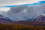  From Denali National Park in Alaska.