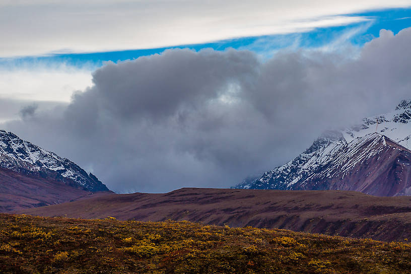  From Denali National Park in Alaska.