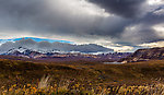  From Denali National Park in Alaska.