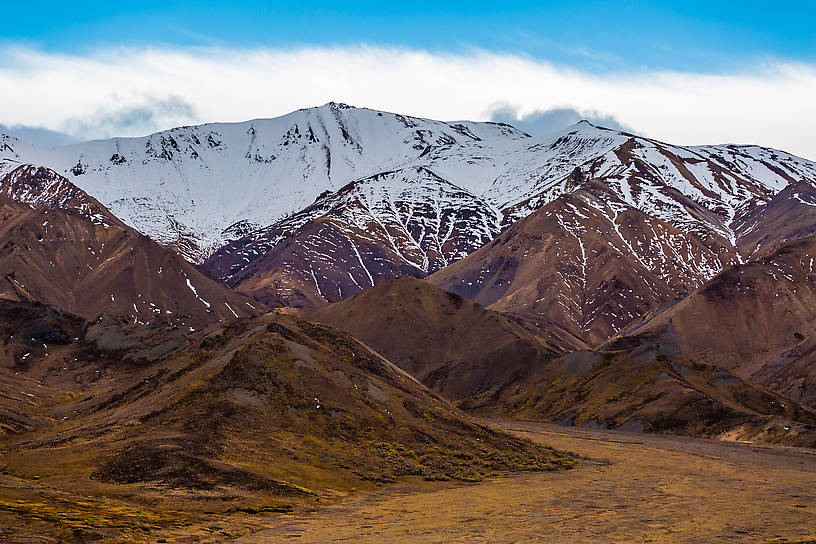  From Denali National Park in Alaska.