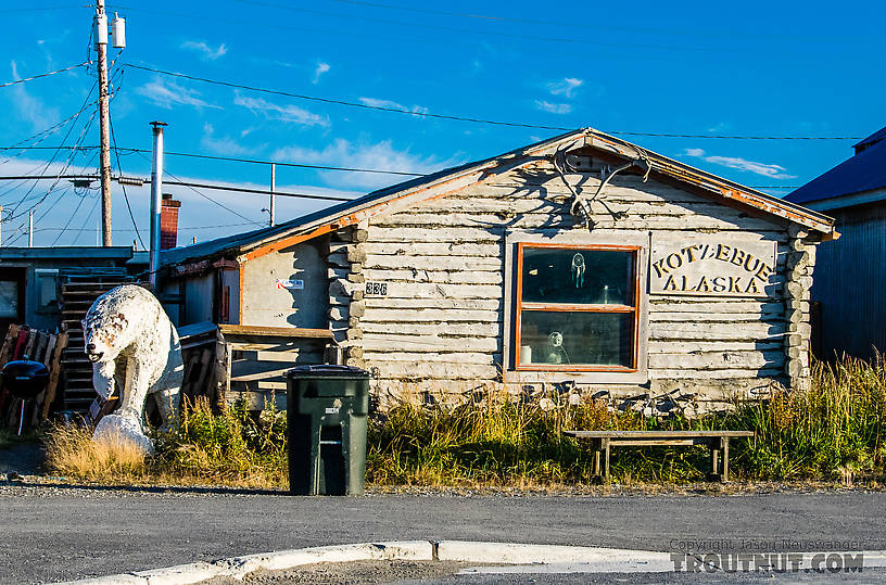 Another Kotzebue building From Kotzebue in Alaska.