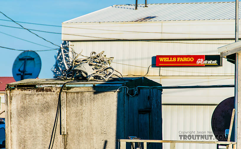 Old and new From Kotzebue in Alaska.