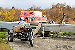 Typical Selawik cityscape From Selawik in Alaska.