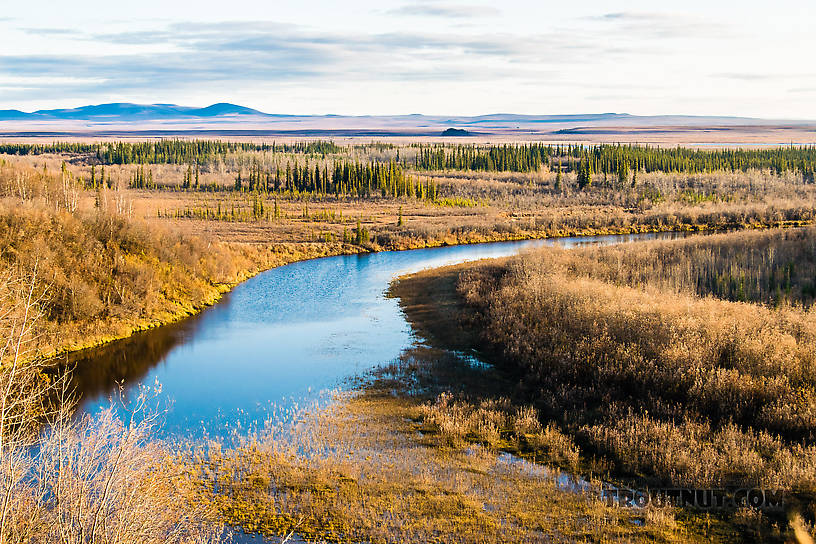 View from atop the permafrost slump From the Selawik River in Alaska.