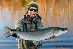 My sheefish, 12-15 lbs or so, caught and released on a white and chartreuse streamer. From the Selawik River in Alaska.