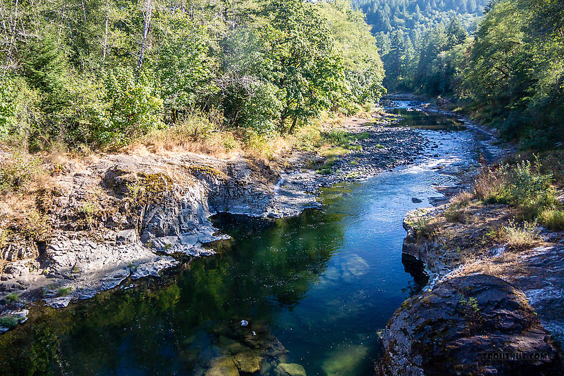  From the Wilson River in Oregon.