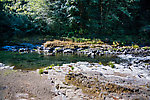  From the Wilson River in Oregon.