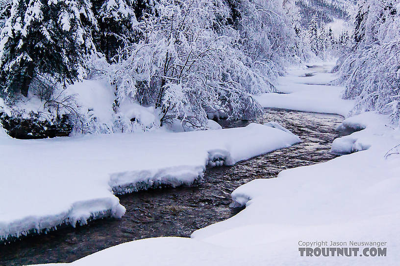  From Mammoth Creek in Alaska.